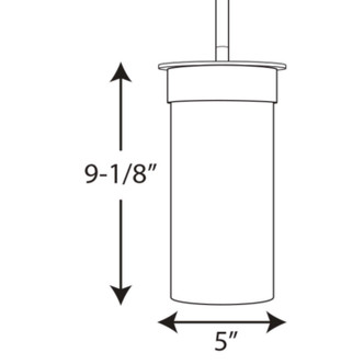 Hawthorne One Light Hanging Lantern (P5513-31)