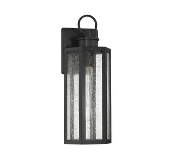 Hawthorne One Light Outdoor Wall Lantern (L5-5101-BK)