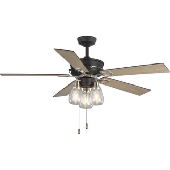 Progress Lighting - P250004-143 - 56``Ceiling Fan - Teasley - Graphite