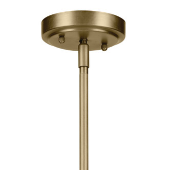 Winslow One Light Mini Pendant (44032NBR)