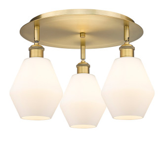 manufacturer_finish:Brushed Brass