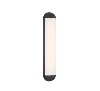 Dolo LED Wall Mount (10126-06)