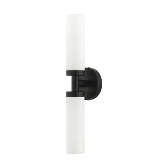Aero Two Light Vanity (10104-04)