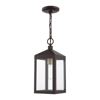 Nyack One Light Outdoor Pendant (20591-07)