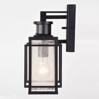 Hyde Park One Light Outdoor Motion Sensor Wall Mount (T0662)