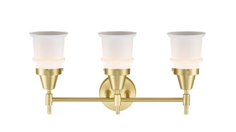 Three Light Bath Vanity (447-3W-SB-G181S)