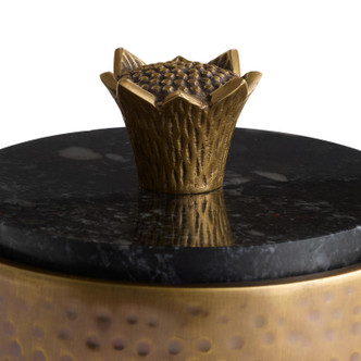 Mackenzie Container (ARI24)