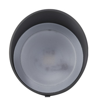 LED Landscape Flood (62-1207)