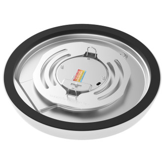 LED Flush Mount (62-1910)