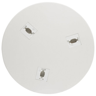 Triple Monopoint Adapter (TP250)
