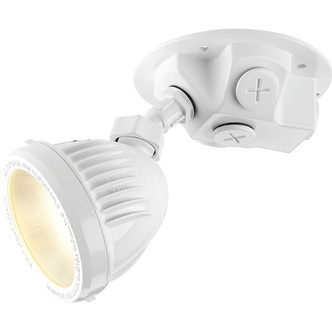 Security Light Back Plate (P6343-28)