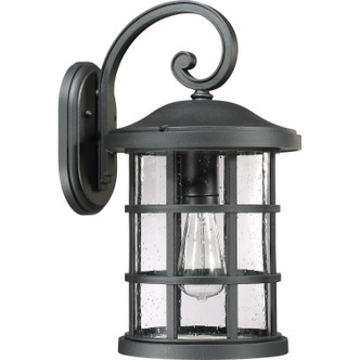 Crusade One Light Outdoor Wall Lantern in Palladian Bronze (10-CSE8410PN)