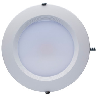 LED Downlight (S11852)