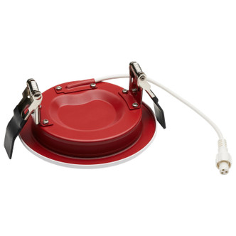 LED Downlight (S11864)