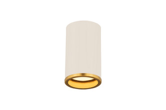 Arlo One Light Flush Mount (2303F1-MW-RB)