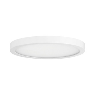 LED Flush Mount (6-3333-10-WH)