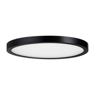 LED Flush Mount (6-3333-12-BK)