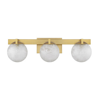 Darien Three Light Bathroom Vanity (8-1017-3-322)