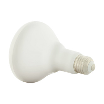 Light Bulb (S11256)