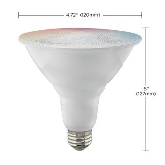 Light Bulb (S11277)