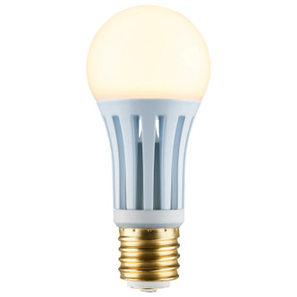 Light Bulb (S11493)