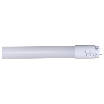 Light Bulb (S11761)