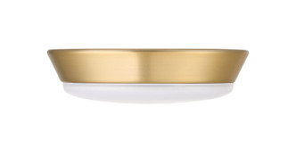 VENN Light Kit LED Light Kit (VNN58LK-SB-LED)