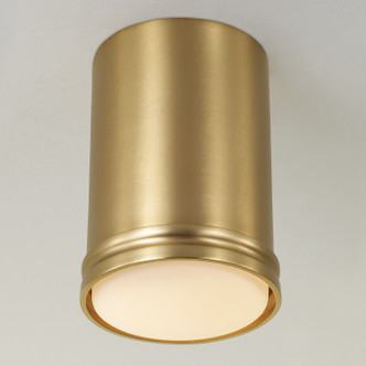 Griffin LED Flush Mount (259411AD)