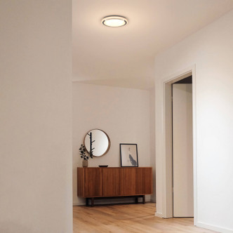 Ora Flush Mount (CFG13-CC)