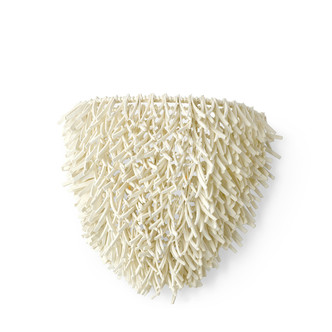 Palecek - 2242-79 - Wall Sconce - Cadiz - Cream