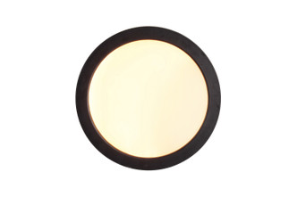 Slim Line II LED Flushmount (X9407-FB-LED-5CCT)