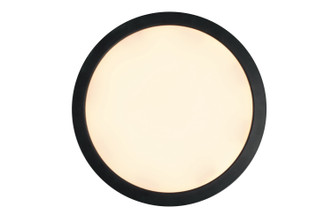 Slim Line II LED Flushmount (X9409-FB-LED-5CCT)
