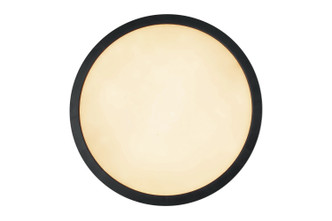 Slim Line II LED Flushmount (X9412-FB-LED-5CCT)