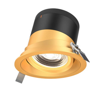 Dals - RC06-CC-20-GMBGD-TGD - Modular Downlight - Moda - Gold