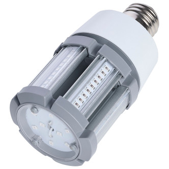 Light Bulb (S13137)