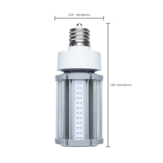 Light Bulb (S13138)