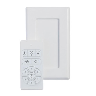 Controls Remote Control (C2670)