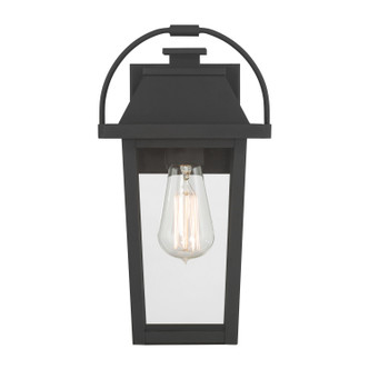 Branwyn One Light Outdoor Wall Lantern (79102-66)