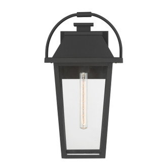 Branwyn One Light Outdoor Wall Lantern (79103-66)