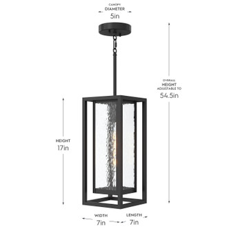 Shaw One Light Outdoor Pendant (P550148-031)