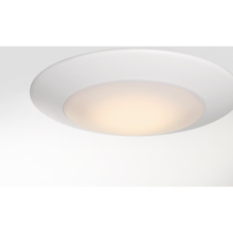 LED Disc Light (6-2001-NG-7-WH)