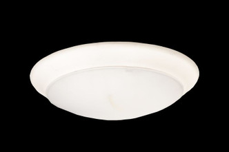 Westgate - DLS12-MCT - Disk Light - White Westgate - DLS12-MCT - Disk Light - White