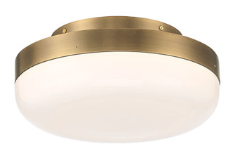 Harwel LED Flush Mount (49830-026)