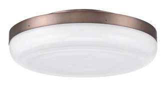 Harwel LED Flush Mount (49831-016)