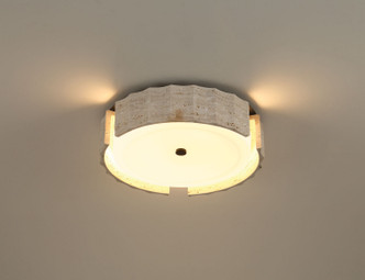 Roslington LED Flush Mount (50204-021)