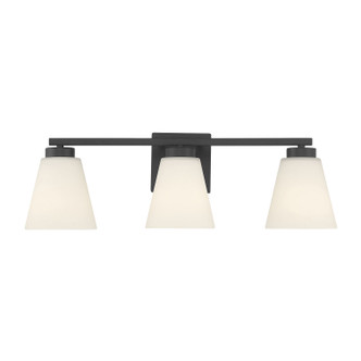 Strayhan Three Light Vanity (64003WG-MB)