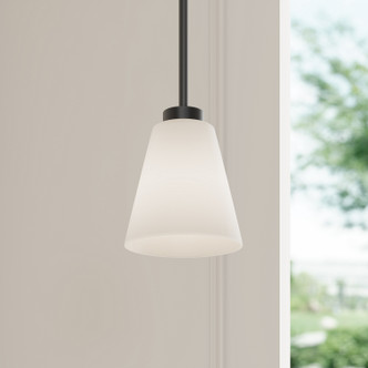 Strayhan One Light Mini Pendant (64101WG-MB)