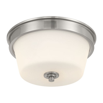Millennium - 64102WG-BN - Two Light Flush Mount - Strayhan - Brushed Nickel