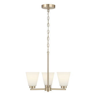 Strayhan Three Light Chandelier (64103WG-MG)