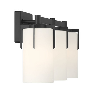 Froselle Three Light Vanity (65003-MB)